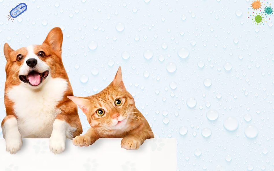 happy healthy pets with petncare
